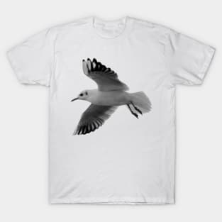 Seagull T-Shirt